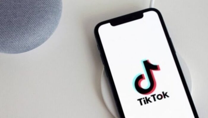 Larang Iklan Politik, TikTok Akan Luncurkan Portal Kepemiluan saat Masa Kampanye