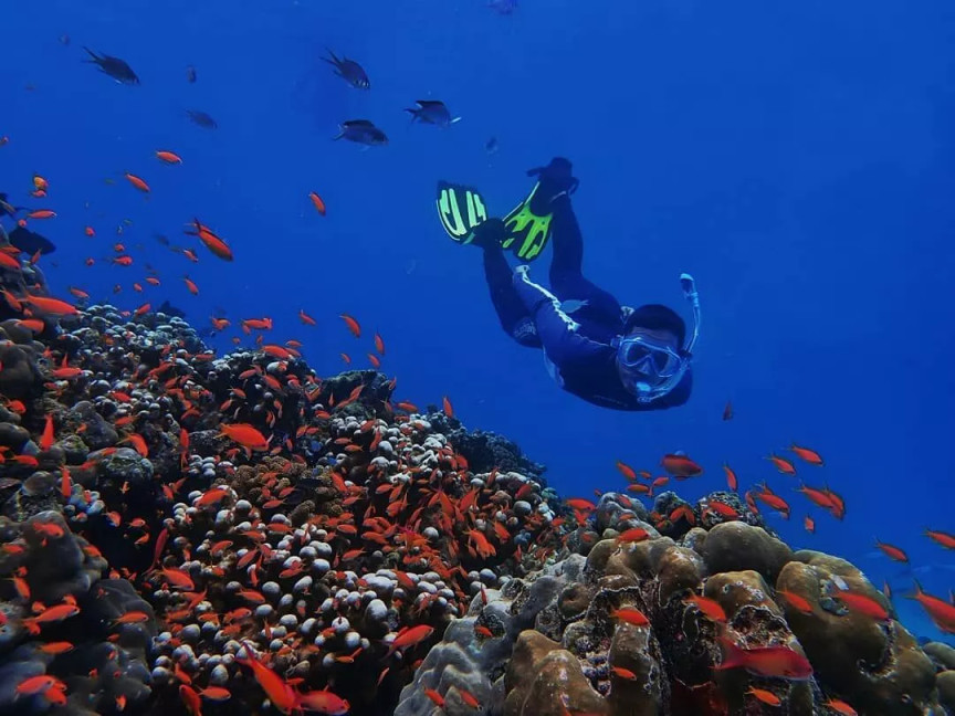 Baluran National Park & Snorkeling from Banyuwangi - Online Tour