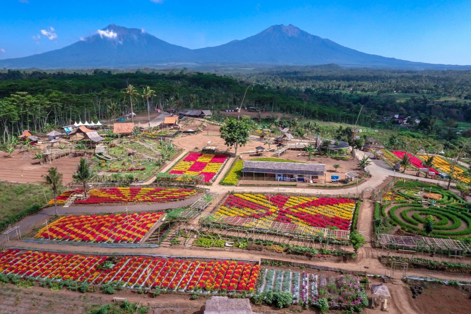 Berwisata Aman dan Nyaman di Banyuwangi - Indonesia Travel