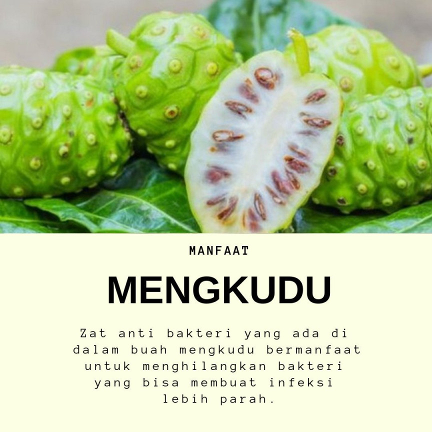 Direktorat Jenderal Hortikultura Kementan on X: "Manfaat buah