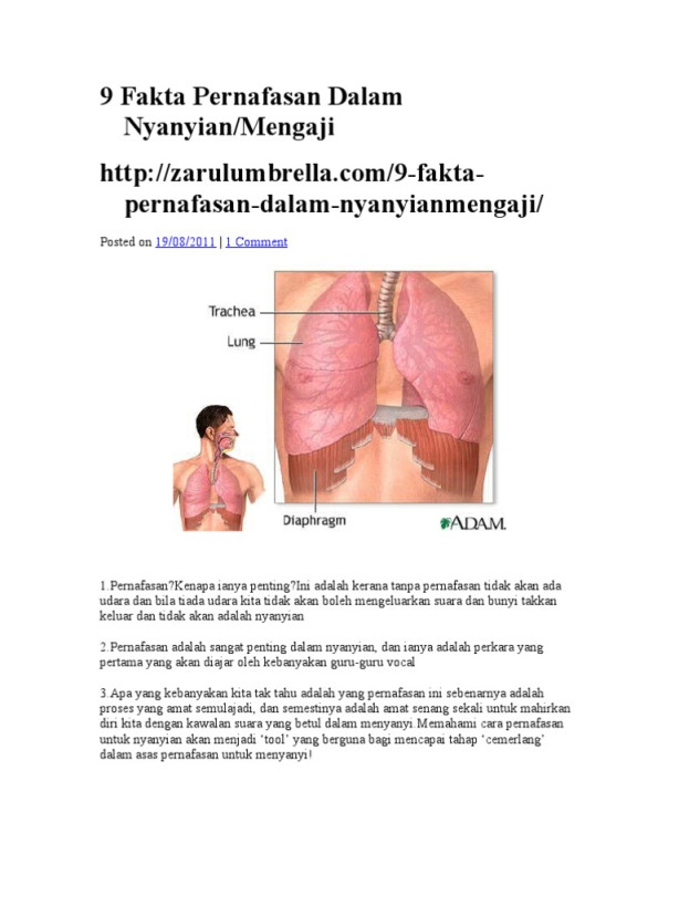 Fakta Pernafasan Dalam Nyanyian  PDF