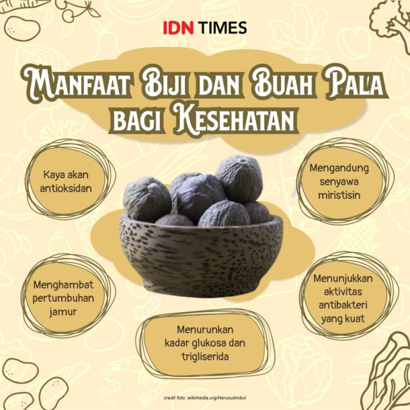 GiziLokal:  Manfaat Biji dan Buah Pala bagi Kesehatan