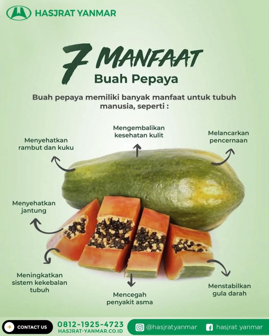 Ini Dia Manfaat Mengonsumsi Buah Pepaya Bagi Tubuh! - Hasjrat Yanmar