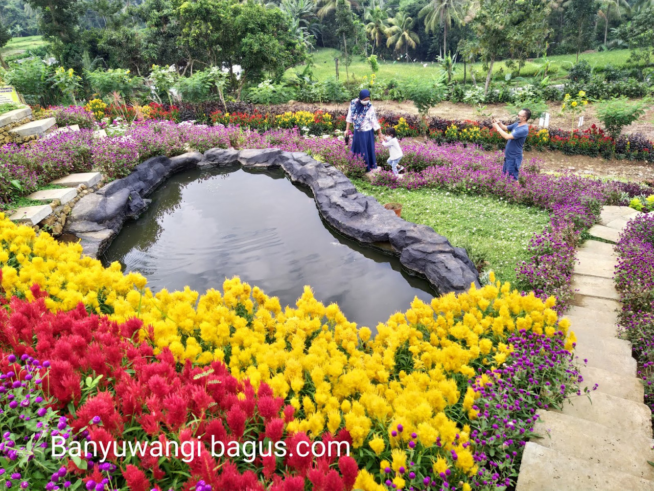 KASUS COVID- TERENDAH DI JAWA TIMUR, PARIWISATA BANYUWANGI