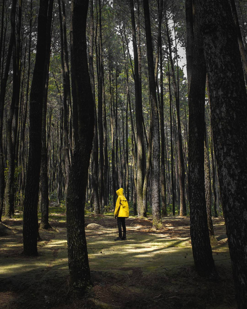 Lagi Sedih?  Lokasi di Bogor Ini Bakal Bikin Kamu Bahagia!