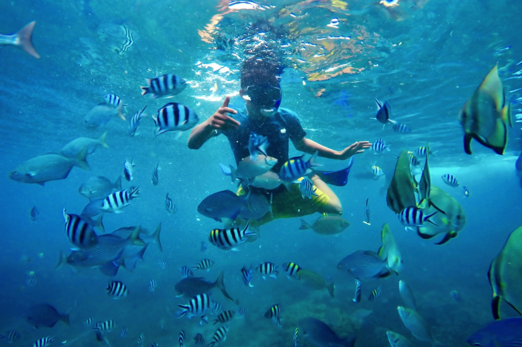 Liburan ke Banyuwangi, Rugi Tak Mampir Snorkeling di Pantai