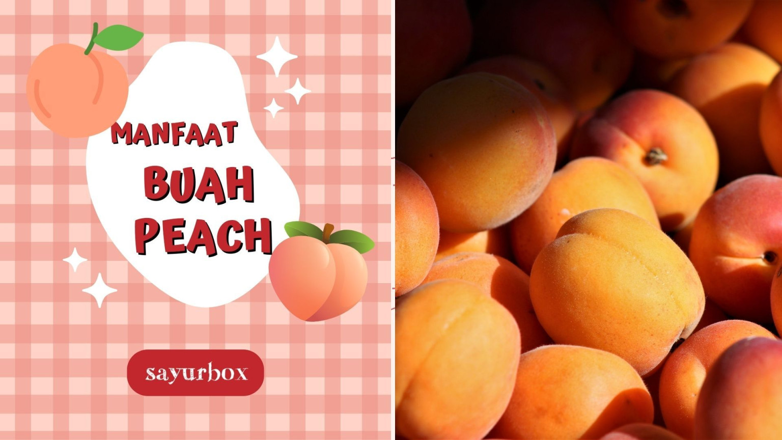 Manfaat Buah Peach, Gak Cuma Enak Tapi Juga Berkhasiat  Sayurbox