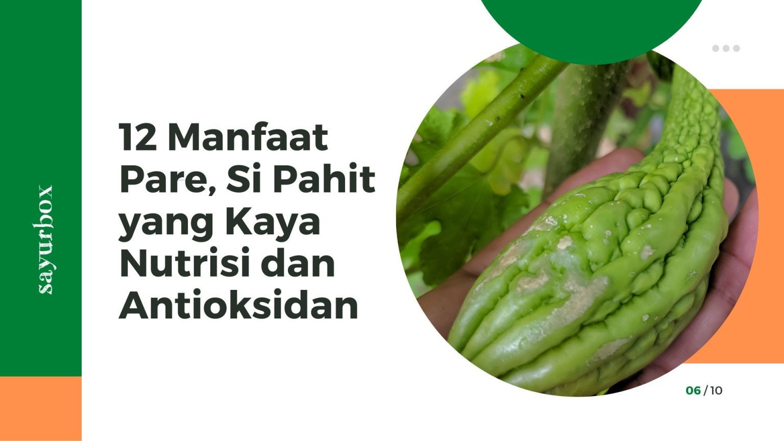 Manfaat Pare, Si Pahit yang Kaya Nutrisi dan Antioksidan  Sayurbox