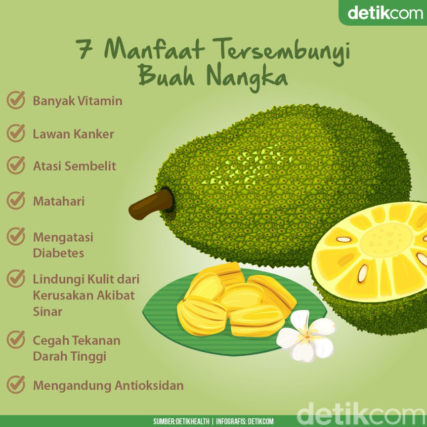 Sedang Musim, Kenali  Manfaat Buah Nangka