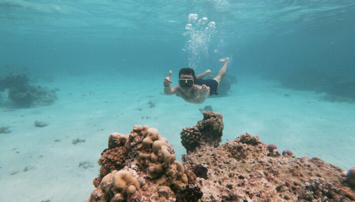 Menikmati Keindahan Bawah Laut Banyuwangi Melalui Snorkeling