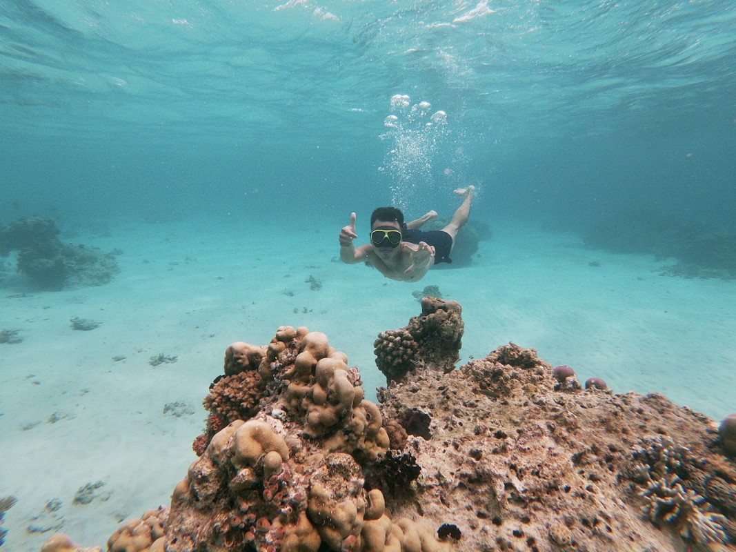 Spot Snorkeling Terbaik di Banyuwangi - Cek Info dan Viewnya Disini