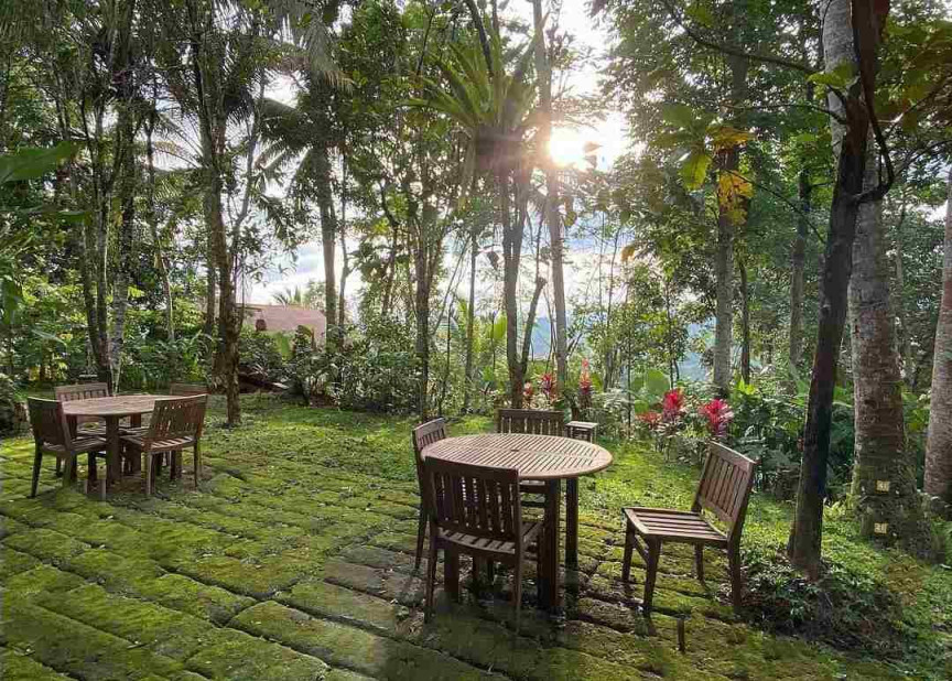 Tempat Makan Di Banyuwangi Dengan Nuansa Alam Pedesaan Yang Asri