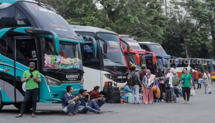 Ditjen Hubdat Selenggarakan Mudik Gratis Libur Natal juga Tahun Baru, Berikut Daftar Rutenya