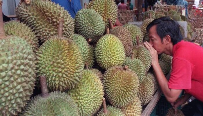 Jangan Konsumsi 6 Makanan dan juga Minuman Hal ini Bersama Durian!