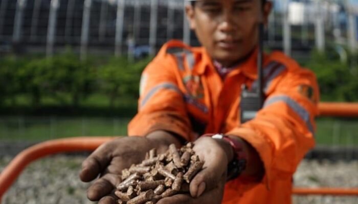 43 PLTU RI Nyata Kurangi Batu Bara, Diganti Pakai Ini..