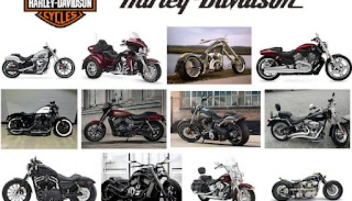 Mulai Bisnis Tanpa Batas Dengan Motor Harley Davidson, Simak Langkahnya!