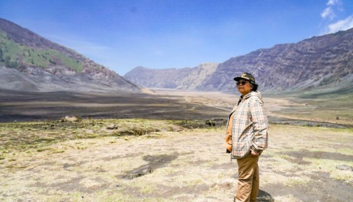 Hakim vonis terdakwa karhutla Gunung Bromo 2 tahun enam bulan penjara