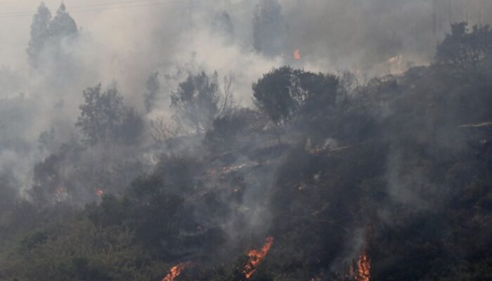 Korban tewas kebakaran hutan di tempat Chile jadi 51 orang