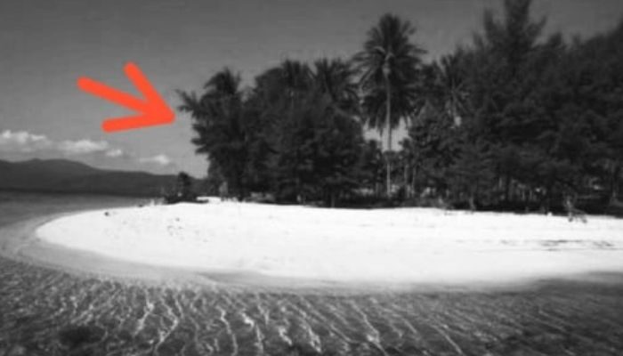 Misteri Pulau Jawa: Pulau Yang Diduga Akan Hilang Dalam 100 Tahun Kedepan