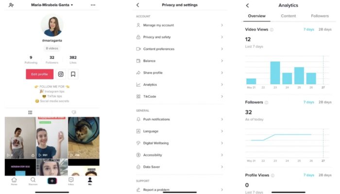 Menggunakan TikTok Analytics Untuk Mengukur Kinerja Konten Anda