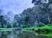 Dari Gunung Sampai Pantai: Kenikmatan Wisata Alam Di Kalimantan Barat