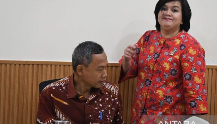 Komnas HAM sesalkan terjadinya dugaan penganiayaan warga di dalam Papua