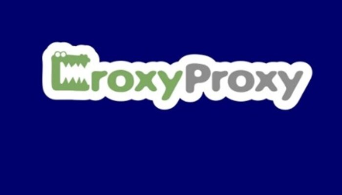 CroxyProxy: Menjelajah Internet Dengan Privasi Yang Terjaga