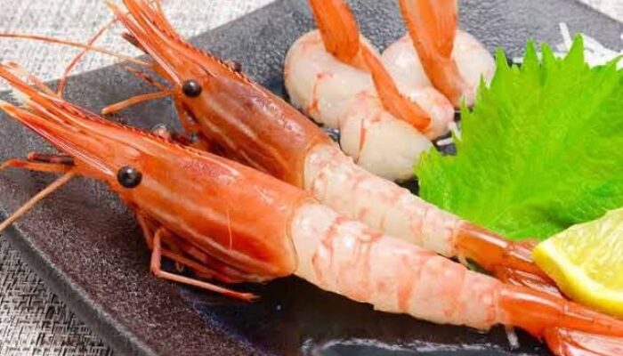 Kuliner Udang Jepang