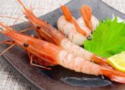 Kuliner Udang Jepang