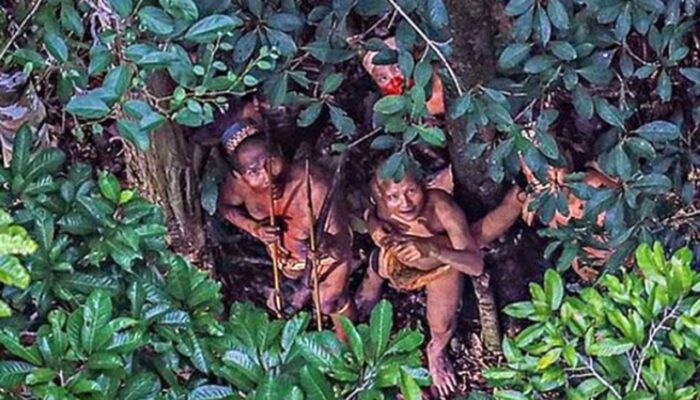 Suku Mante: Suku Penghuni Hutan Aceh Yang Belum Terjamah Peradaban