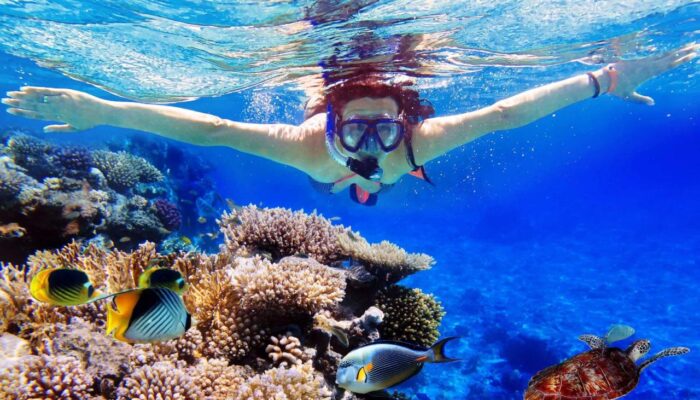 Wisata Snorkeling Di Indonesia