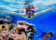 Wisata Snorkeling Di Indonesia