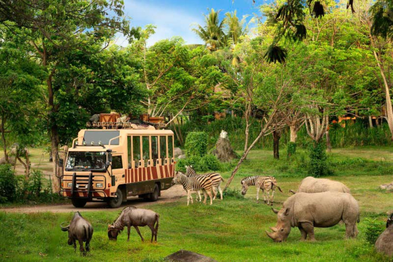 Bercengkrama Dengan Berbagai Satwa di Taman Bali Safari