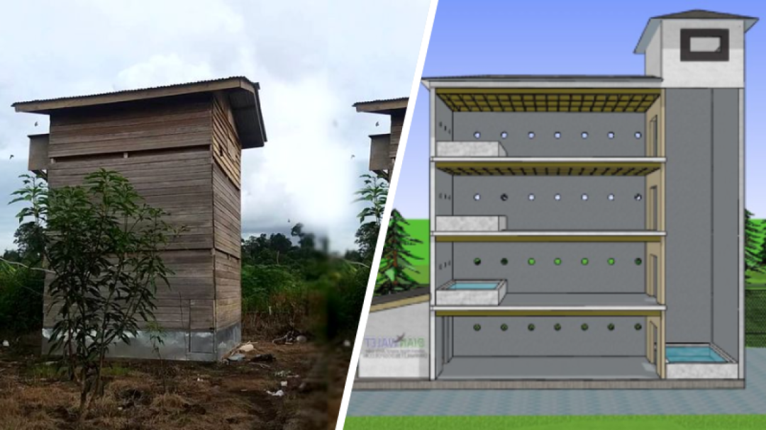 Desain Rumah Walet Dari Kayu x – Rumah Apa