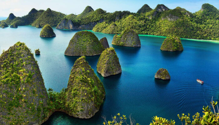 Menikmati Keindahan Alam Laut Raja Ampat, Papua