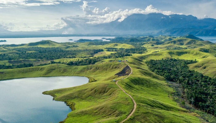 Hiburan Di Papua: Memperkaya Jiwa Dengan Keindahan Alam Dan Keragaman Flora Dan Fauna