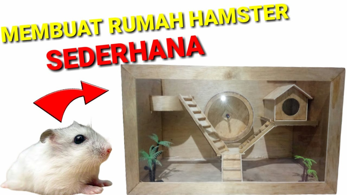 DIY Membuat Rumah Hamster Sederhana Dari Bahan Triplek