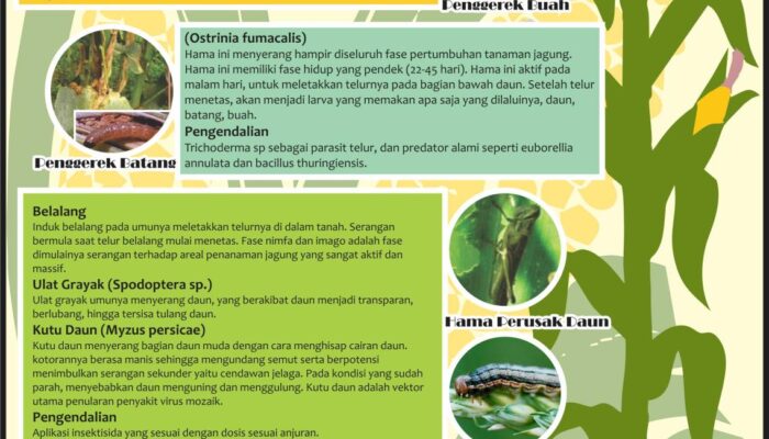 Pengenalan Sistem Peringatan Dini Terhadap Hama Tanaman