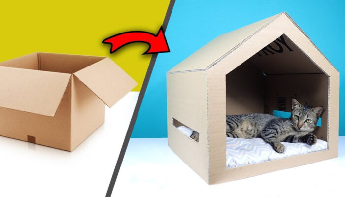 Ide Kreatif Desain Rumah Kucing Untuk Hewan Peliharaan Anda