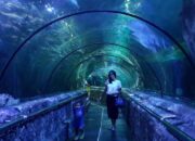 Wisata Aquarium Di Indonesia