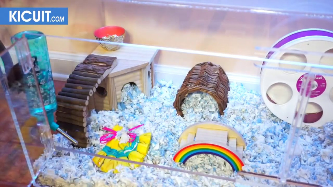 KANDANG HAMSTER AKUARIUM