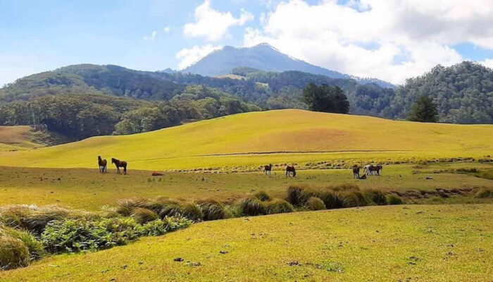 Wisata Cagar Alam Di Indonesia