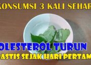 Tips Mengurangi Kolesterol Dengan Herbal