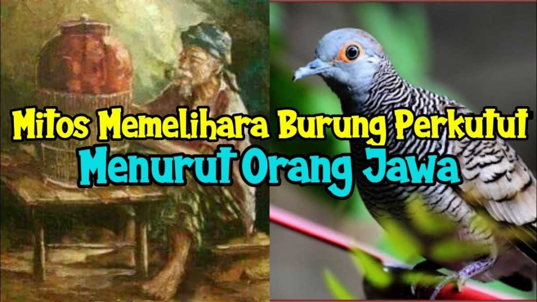 Mengungkap Rahasia Hari Paling Beruntung dan Tidak Saat Membeli