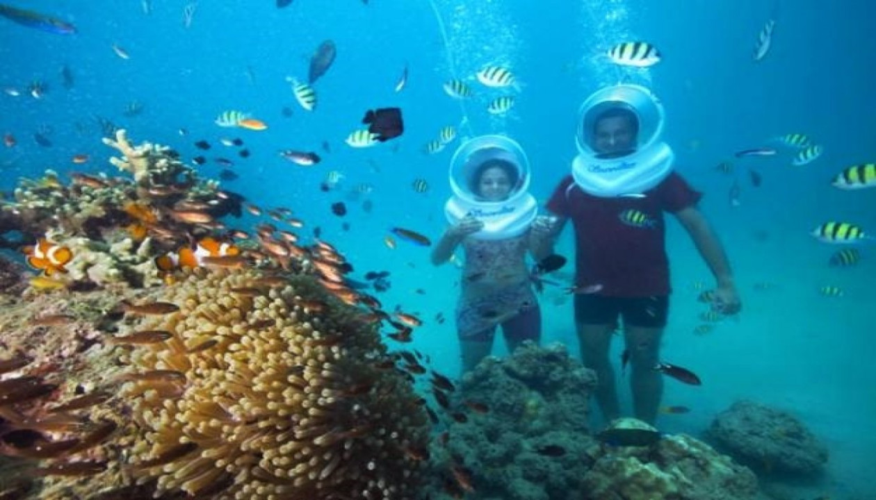 Menikmati Keindahan Bawah Laut dengan Tour Snorkeling Pulau Coral