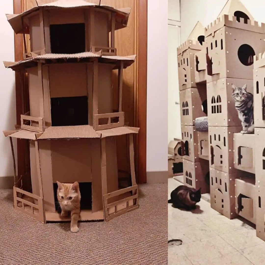 Potret Miniatur Rumah Kucing Terbuat dari Kardus, Hasilnya