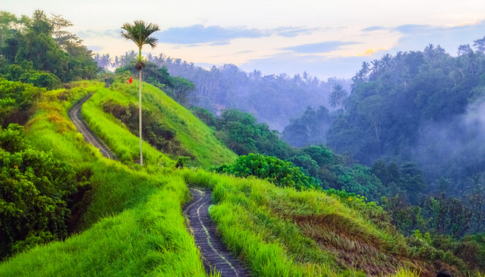 Wisata Tersejuk Di Indonesia