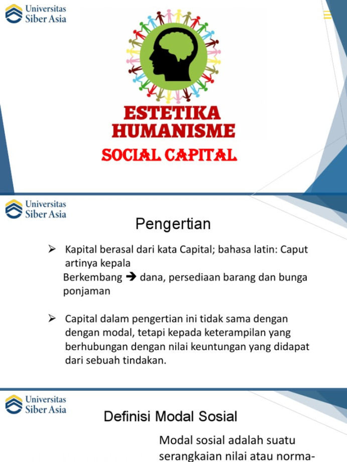 Social Capital  PDF