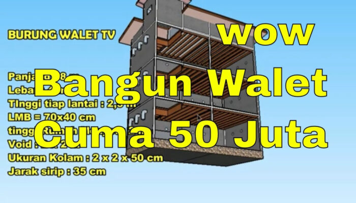 Desain Rumah Walet: Menyiasati Ruang Yang Ideal Untuk Bisnis Peternakan Burung Walet