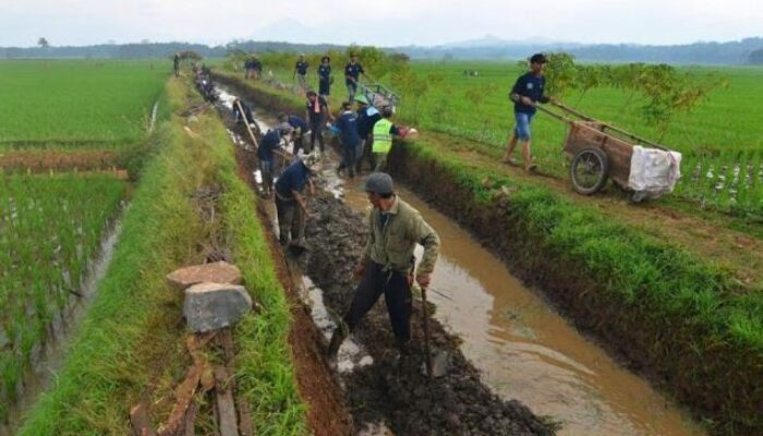 Mengatasi Permasalahan Erosi Pada Lahan Pertanian Terjal